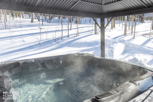 Chalet Artemis — Extérieur - Hiver