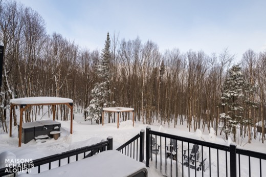 Chalet Gemini — Extérieur - Hiver