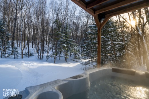 Chalet Gemini — Extérieur - Hiver