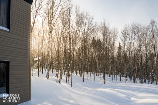 Chalet Léo — Extérieur - Hiver