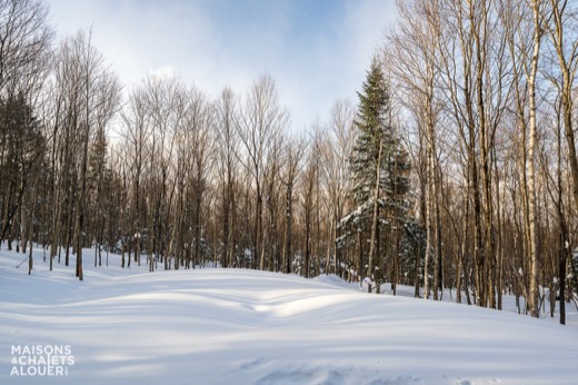 Chalet Léo — Extérieur - Hiver