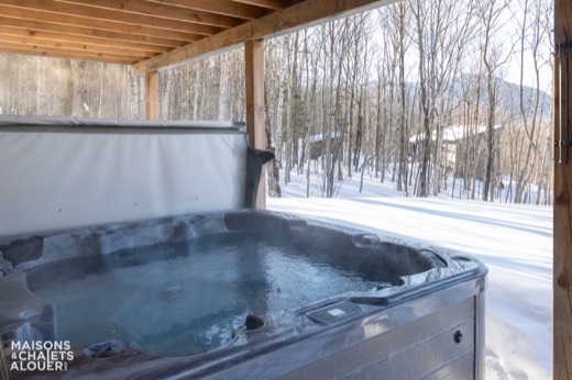Chalet Venus — Extérieur - Hiver